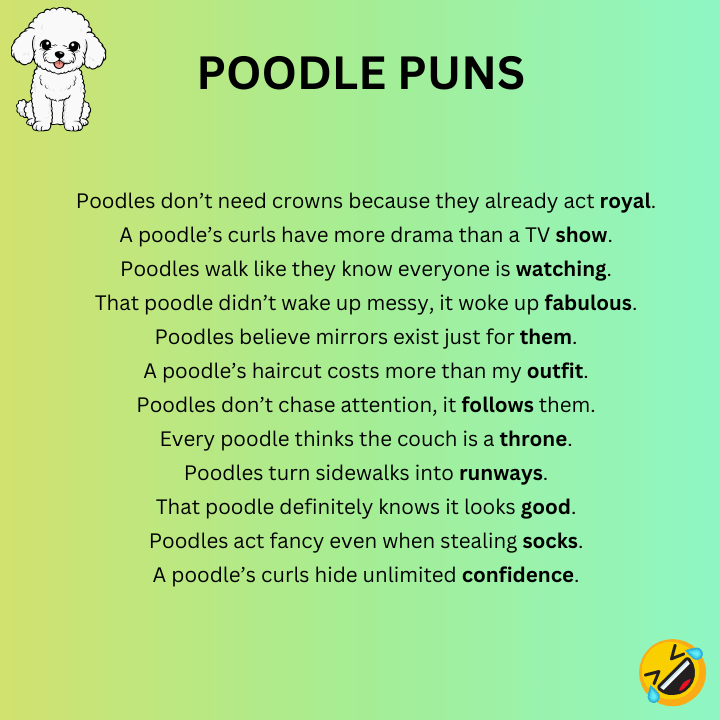 Short Poodle Puns